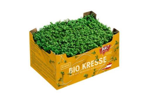 Bio Kresse KL. 2 100g