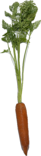 Karotte mit grün per Stk.
