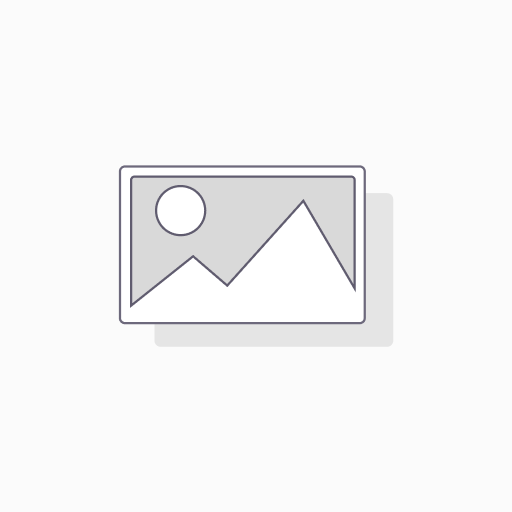 Box 39x28x14cm/11L
